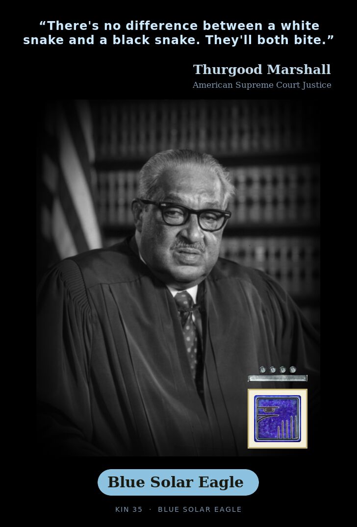 Thurgood Marshall · Blue Solar Eagle
