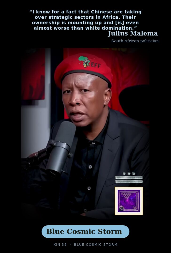 Julius Malema · Blue Cosmic Storm
