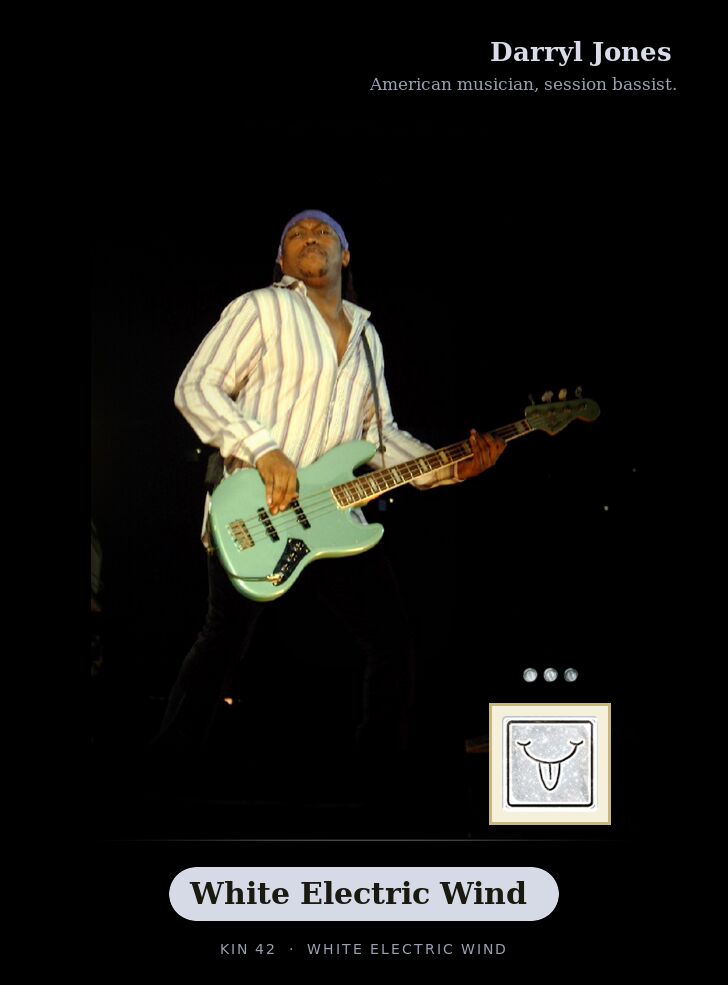 Darryl Jones · White Electric Wind